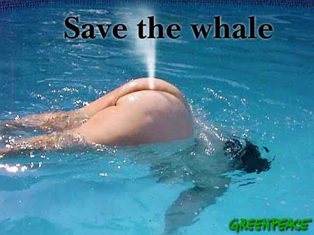 Obrazek whale.jpg